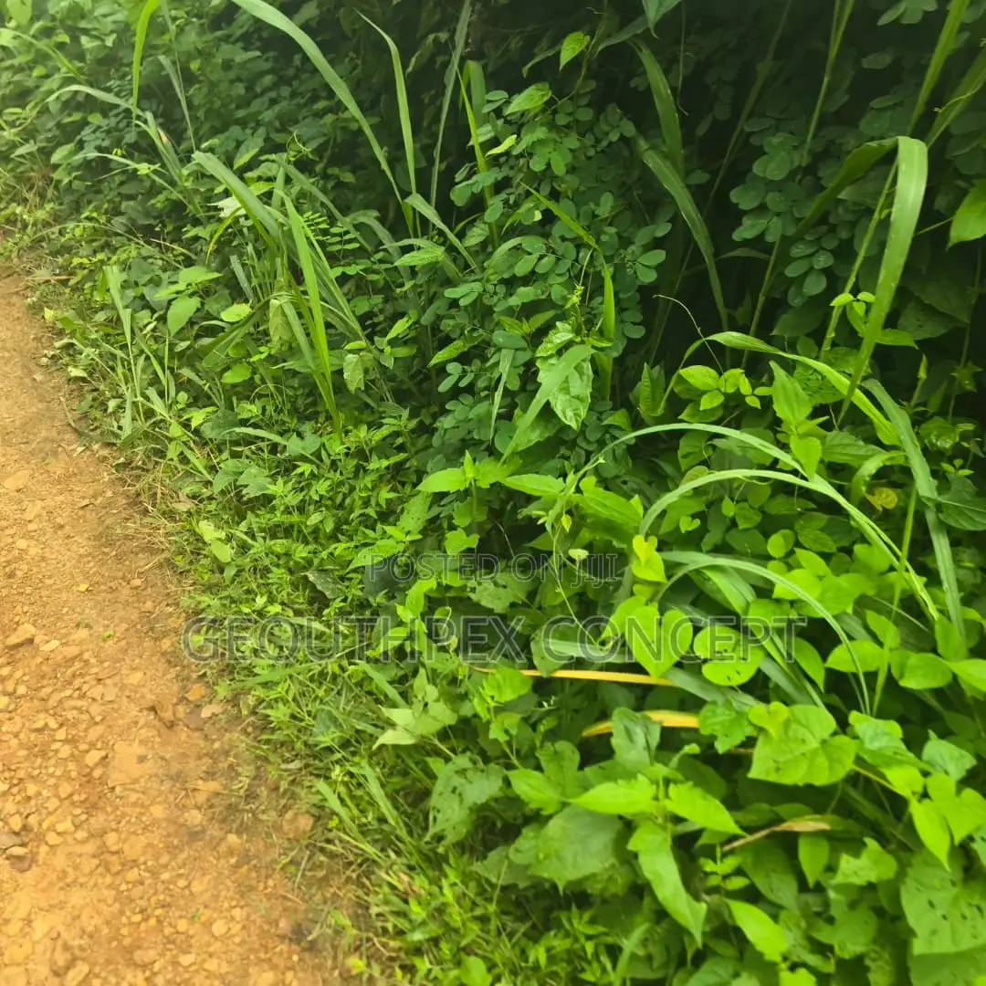 10 Acres of Land With 2 Bedroom Bungalow at Moniya, Ibadan in Moniya