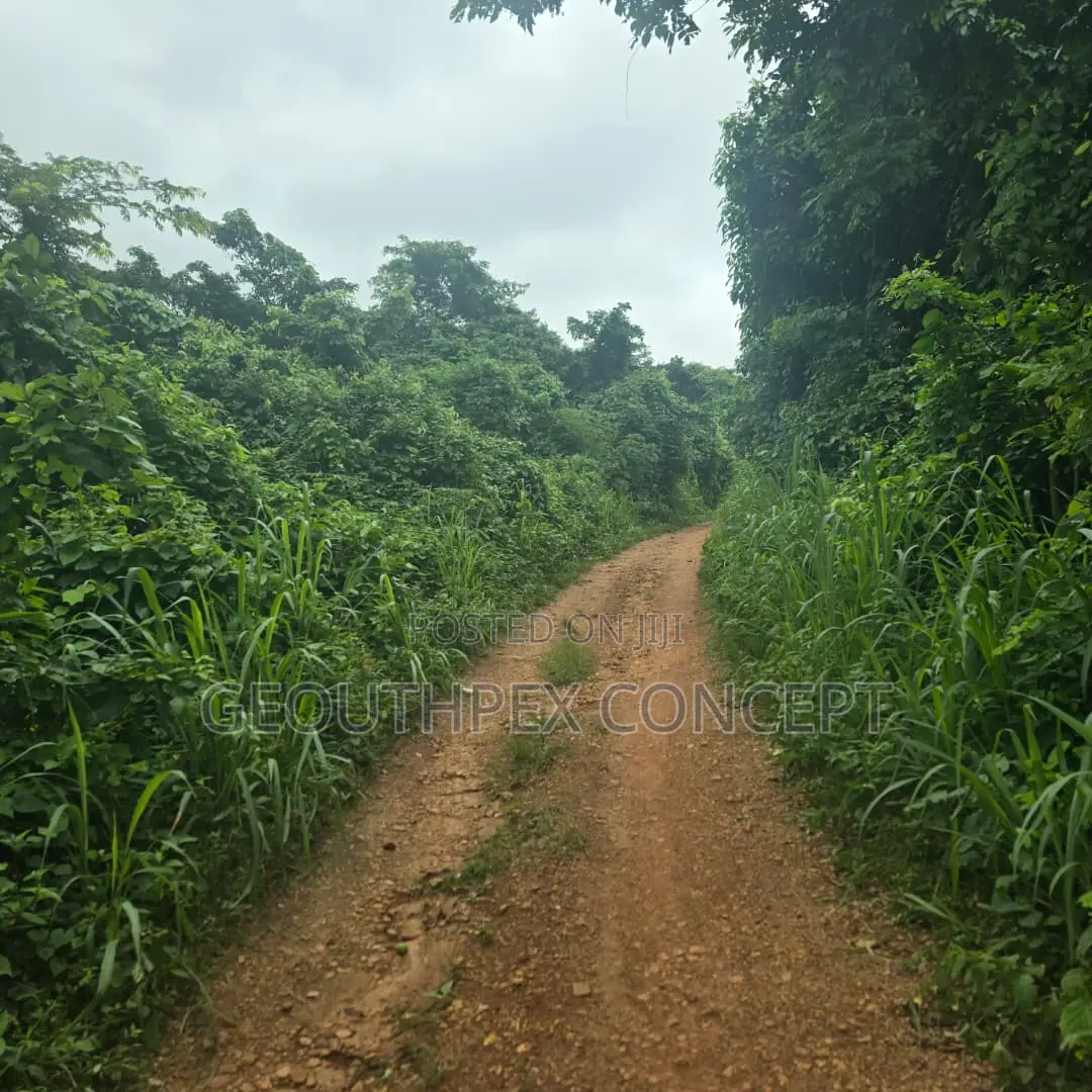 Acres of Land at After Elekuru Village, Moniya, Ibadan in Moniya