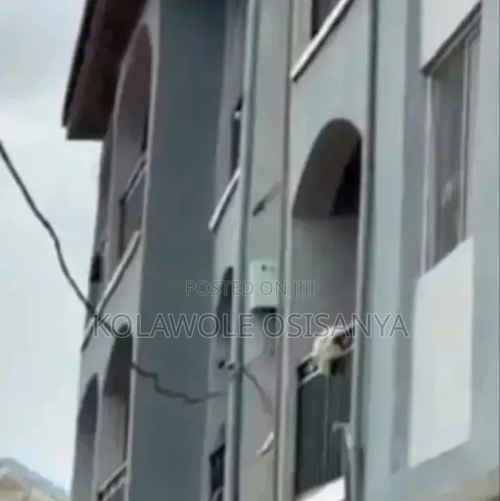 6bdrm Block of Flats in Agbado for sale in Agbado