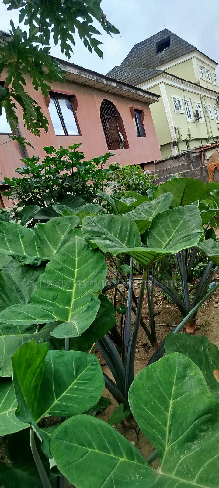 2bdrm Bungalow in Isuti Rd, Ikotun/Igando for sale in Ikotun/Igando