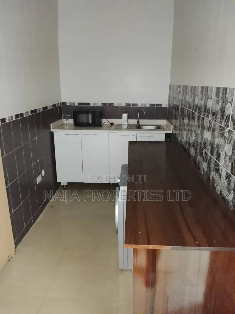 Mini Flat in Banana Island for rent in Banana Island