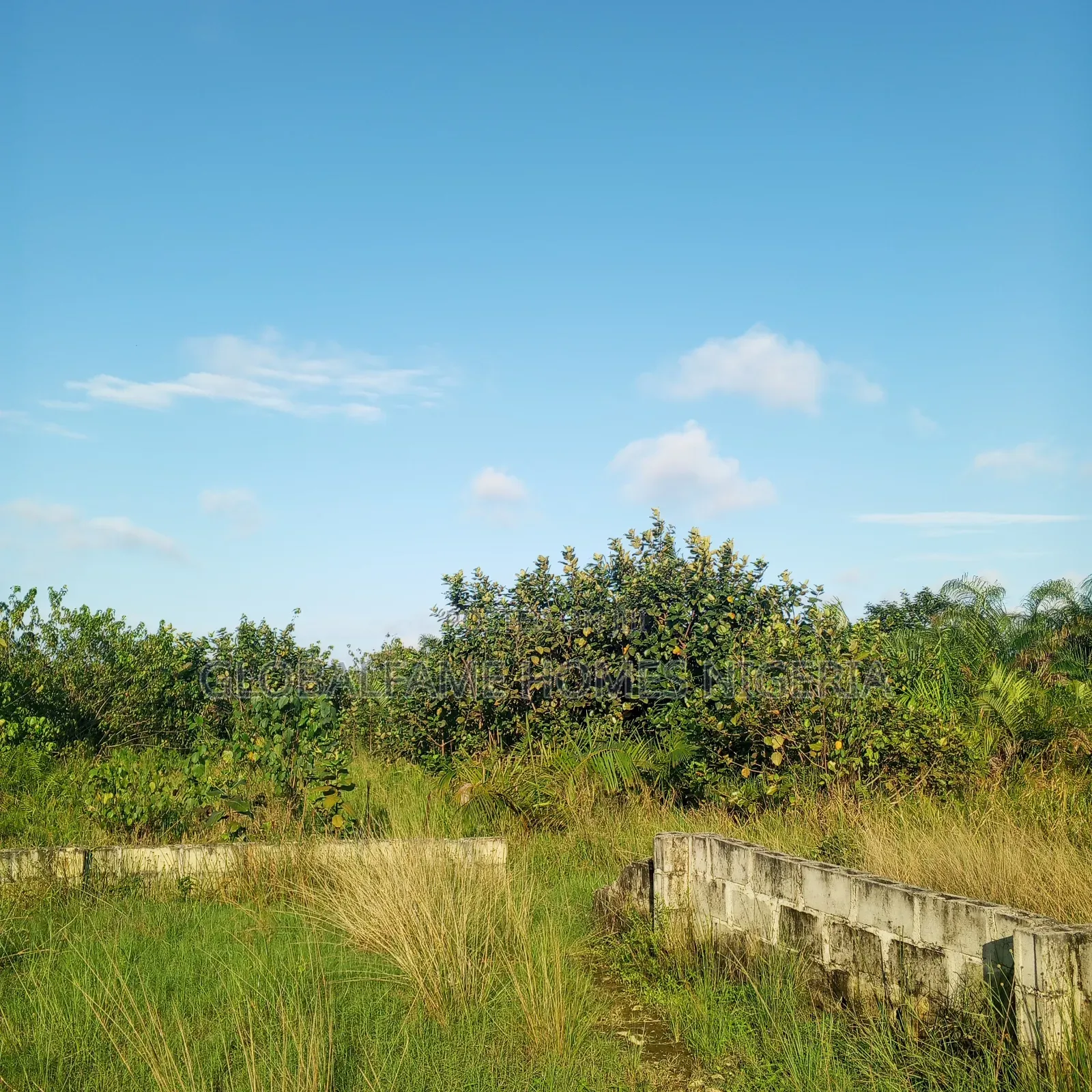 Land for Sale in Igando-Oloja