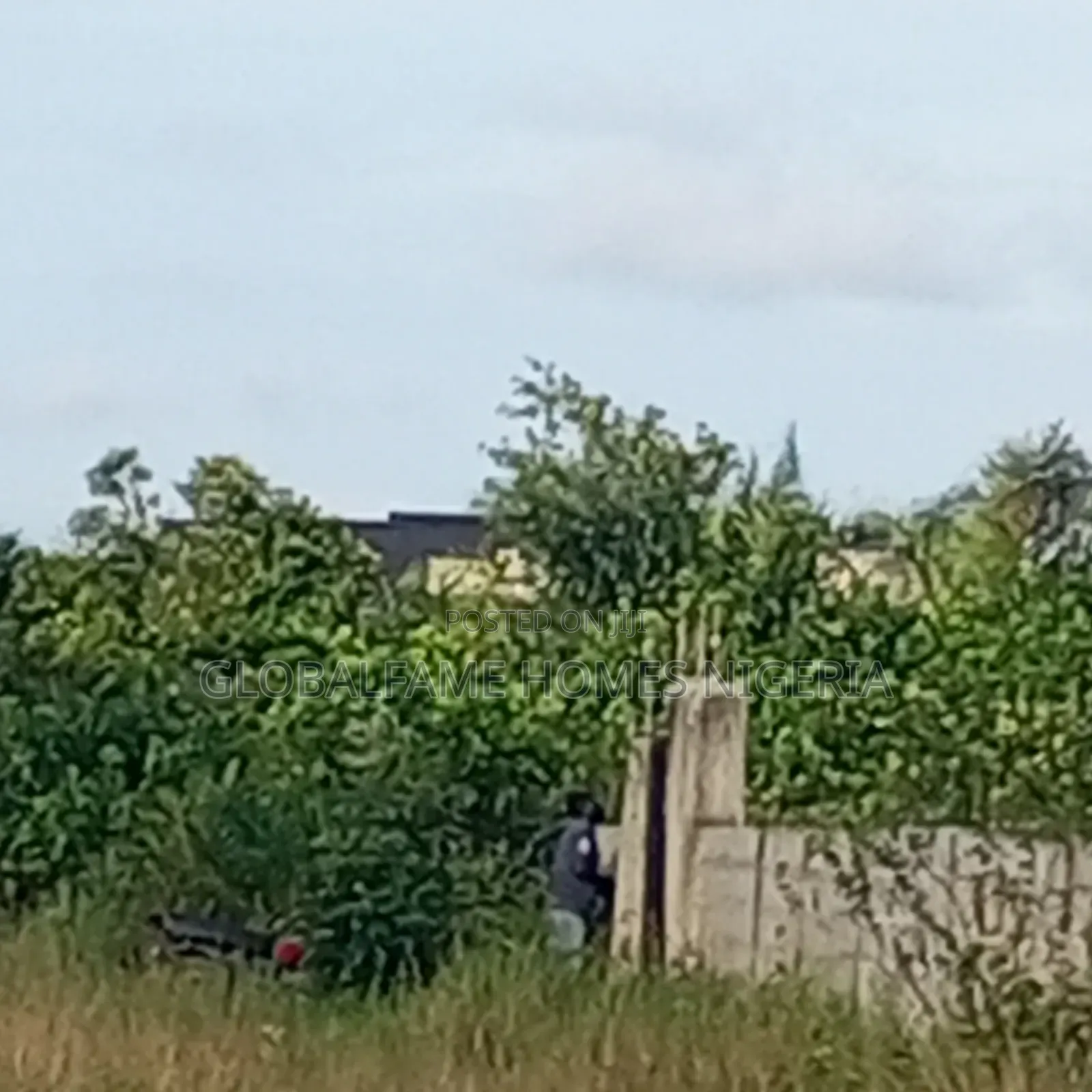 Land for Sale in Igando-Oloja