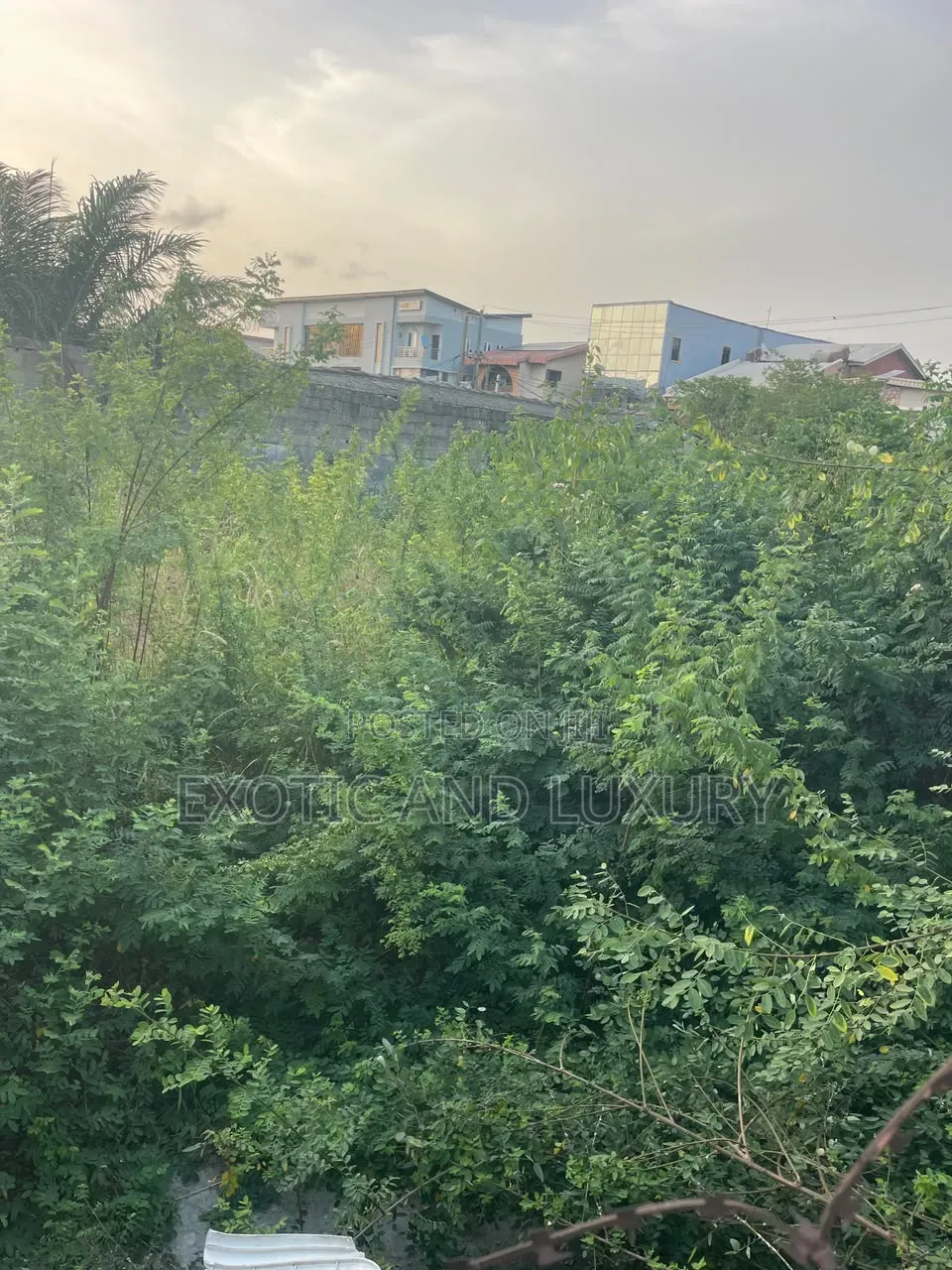 Exotic&Luxuries in Lekki Free Trade Zone