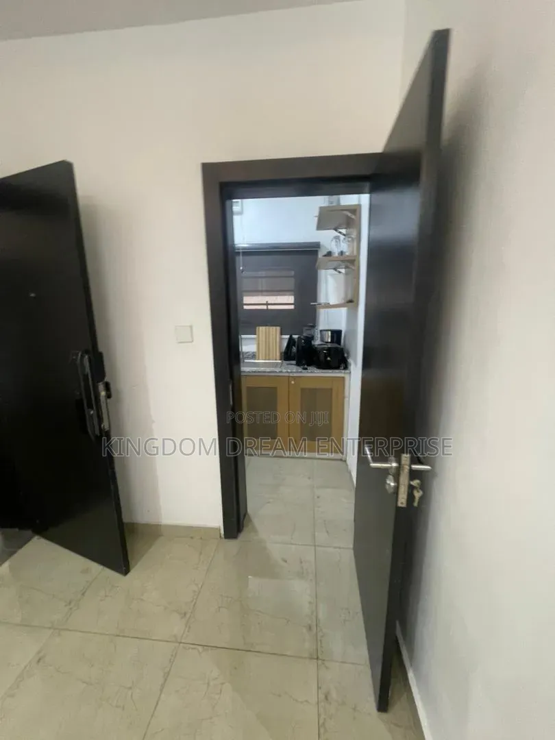 Furnished Studio Apartment in Old Ikoyi Lagos for rent in Old Ikoyi