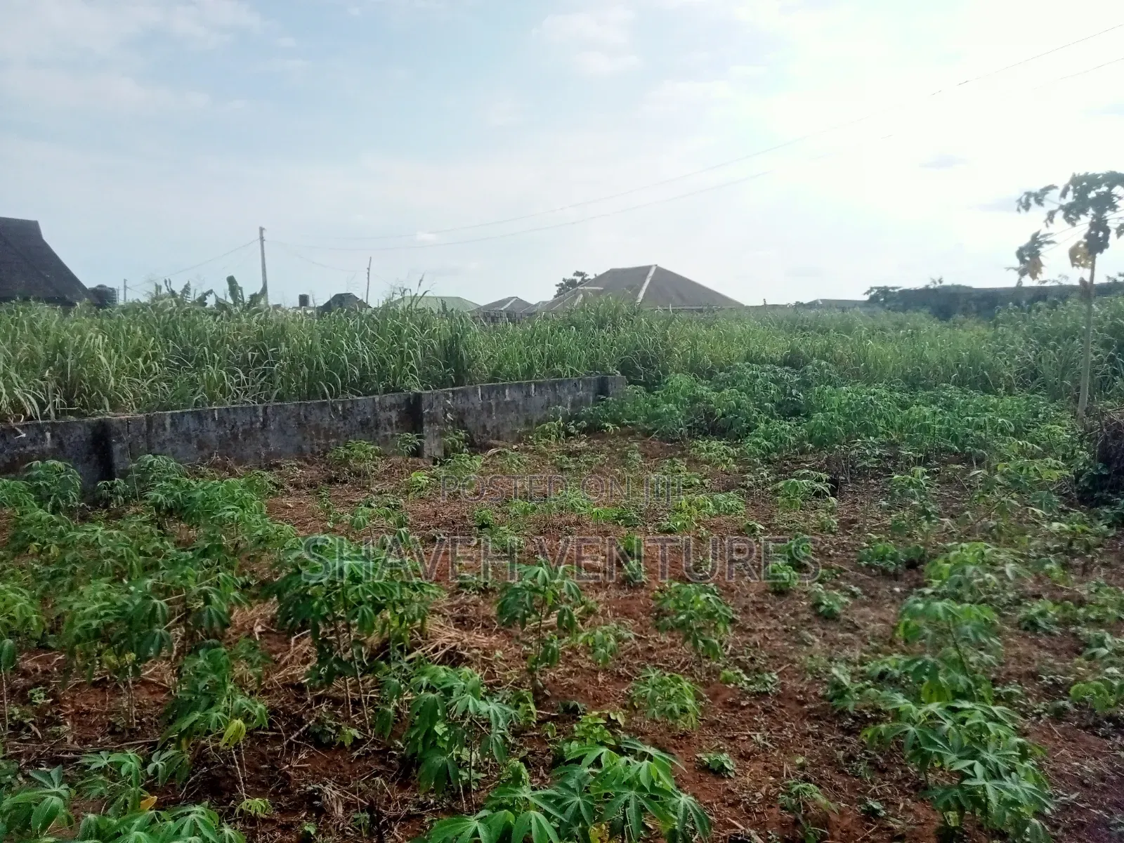 Half Plot for Sale @ Peace Avenue Arobieye in Ado-Odo/Ota