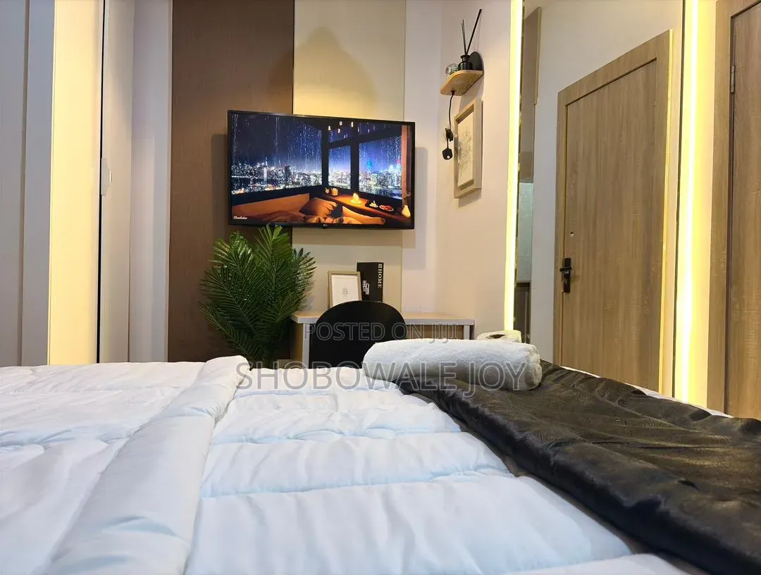 Furnished 1bdrm Apartment in Ikate Elegushi for rent in Ikate-Elegushi