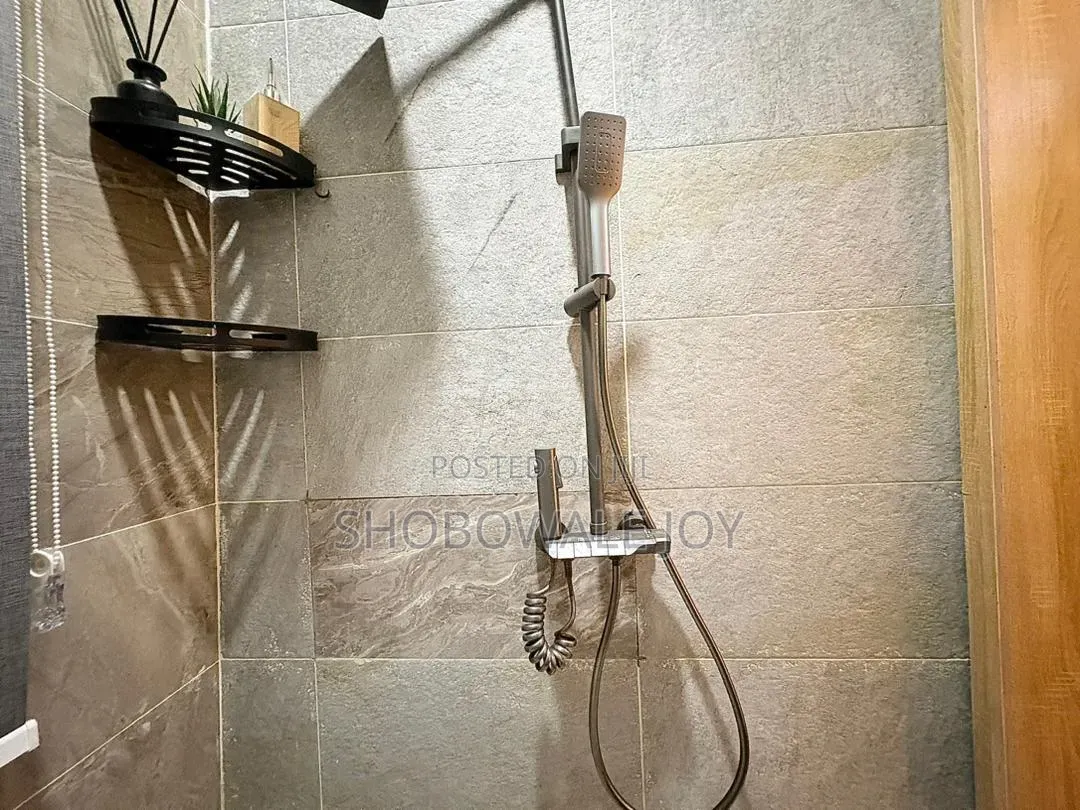 Furnished 1bdrm Apartment in Ikate Elegushi for rent in Ikate-Elegushi