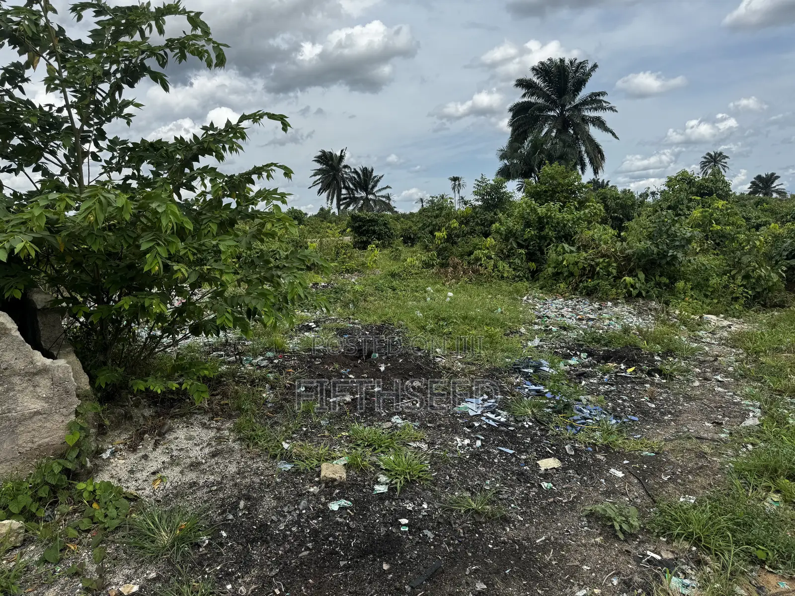 1 Plot for Sale at Worji Alesa Refinery Road(banana High Land) in Eleme