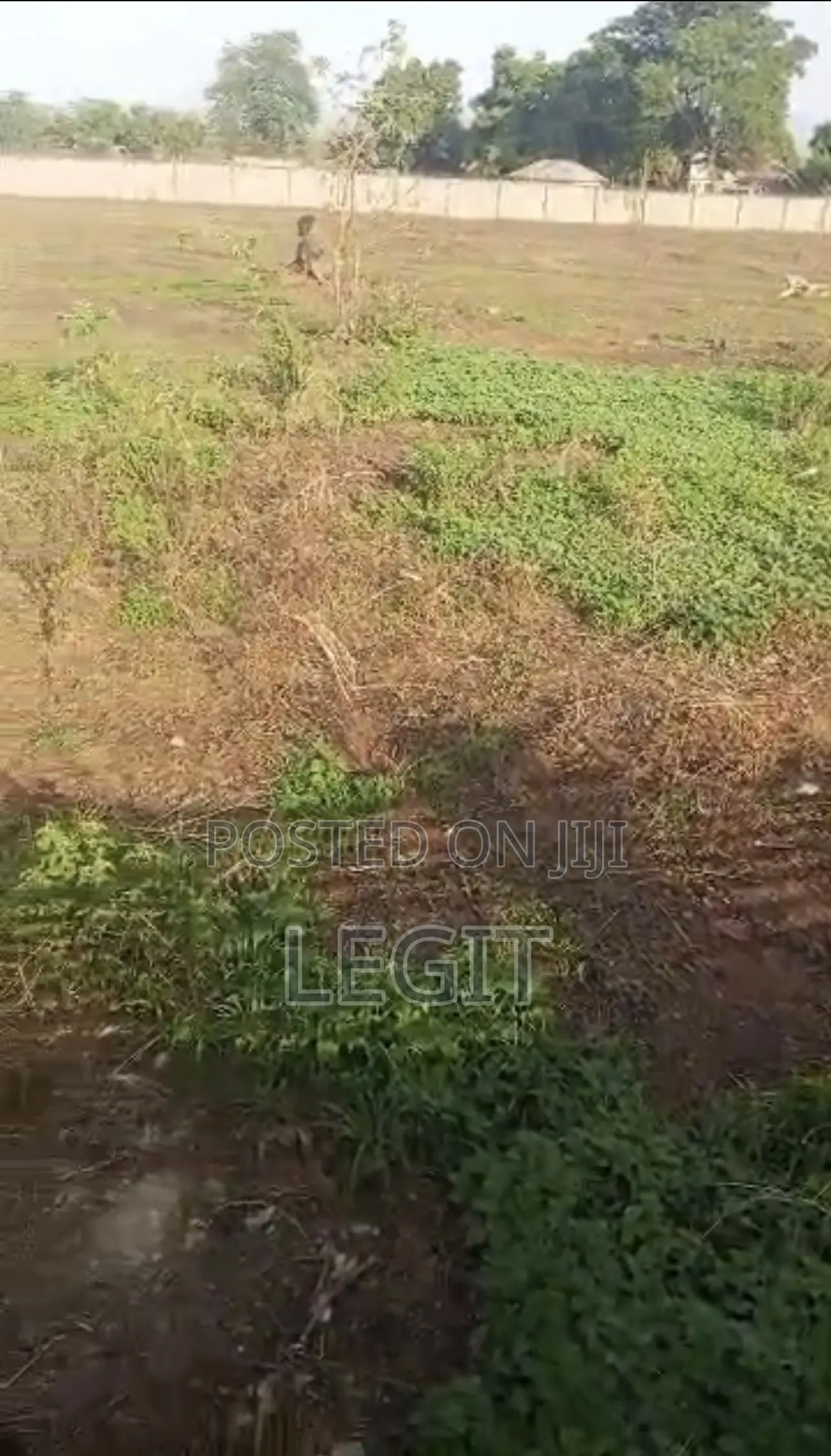 3 Hectares of Land With FCDA Title in Sabon Lugbe