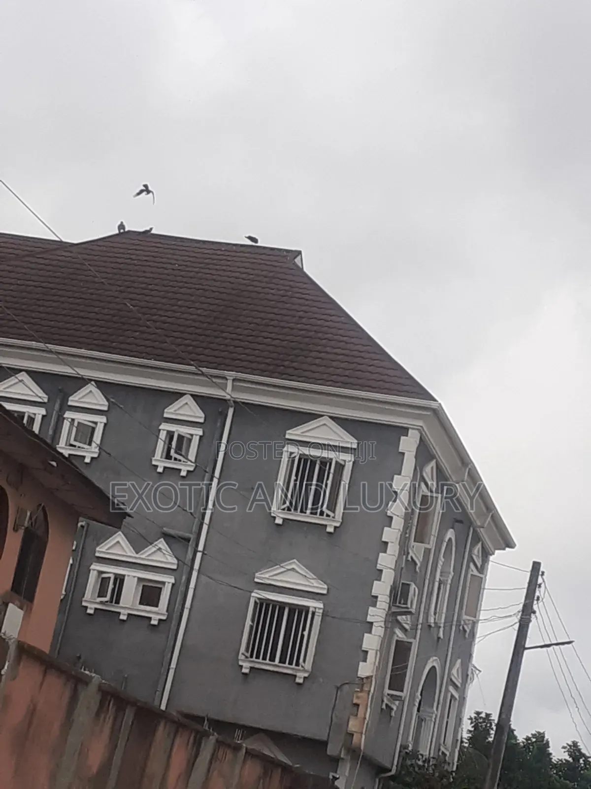 Studio Apartment in Onipanu for rent in Onipanu