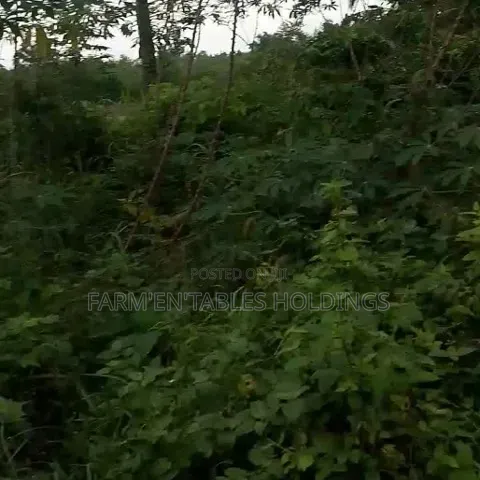50 Acres of Land Available at Ijaye, Akinyele Local Goverment in Akinyele