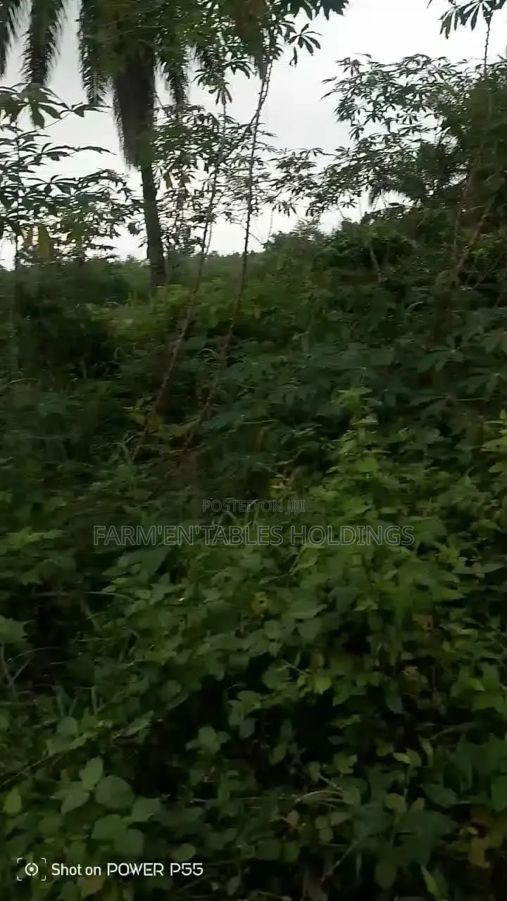 50 Acres of Land Available at Ijaye, Akinyele Local Goverment in Akinyele