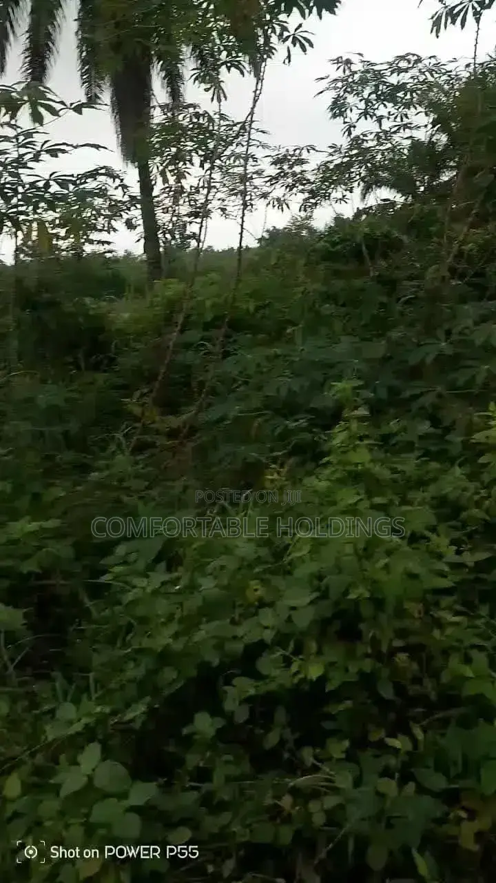 50 Acres of Land Available at Ijaye, Akinyele Local Goverment in Akinyele
