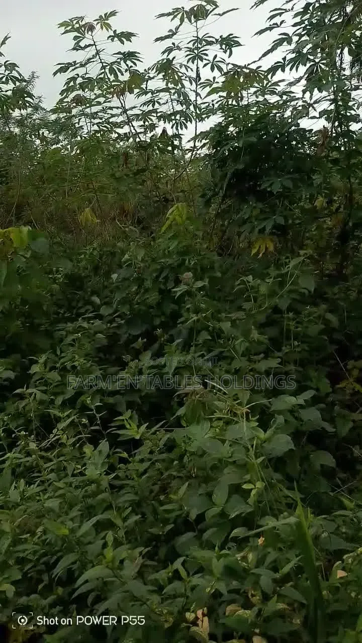 50 Acres of Land Available at Ijaye, Akinyele Local Goverment in Akinyele