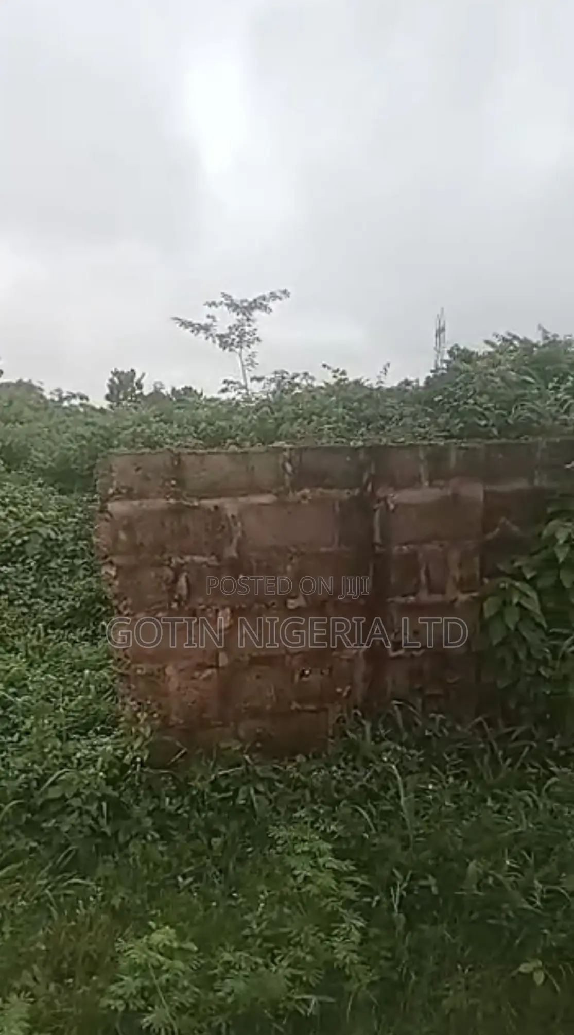 Fenced 50×100ft Land at Film House Road, Ugbowo – Distress Sale in Benin City