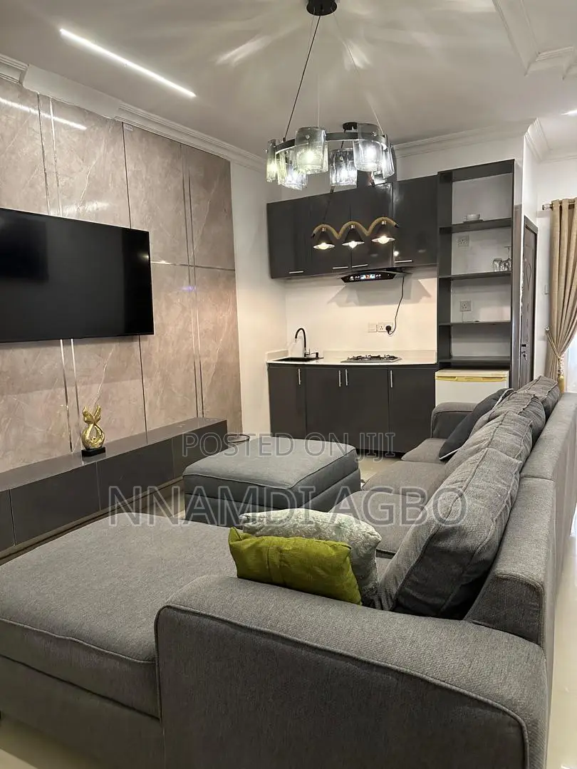 Furnished 1bdrm Apartment in Lekki Phase 1 for rent in Lekki Phase 1