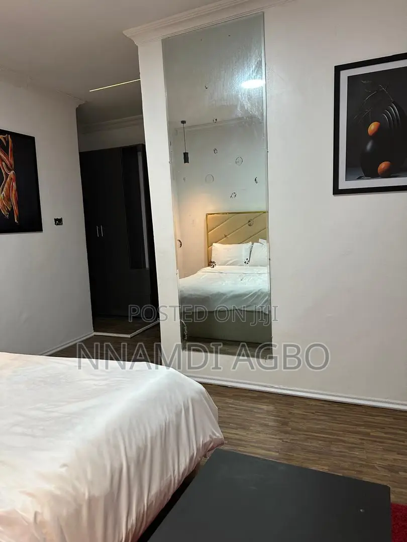 Furnished 1bdrm Apartment in Lekki Phase 1 for rent in Lekki Phase 1