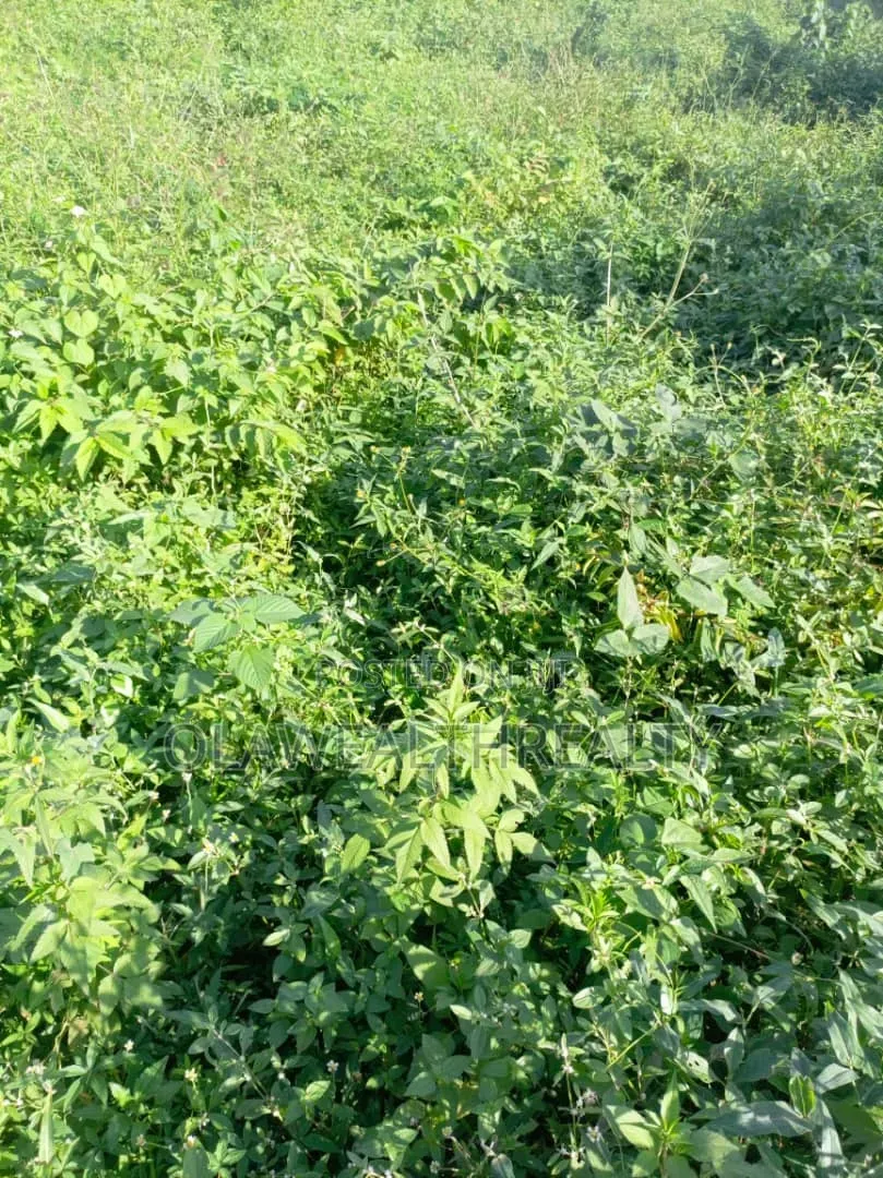 800sqm Residential Plot at Maitama Main in Maitama
