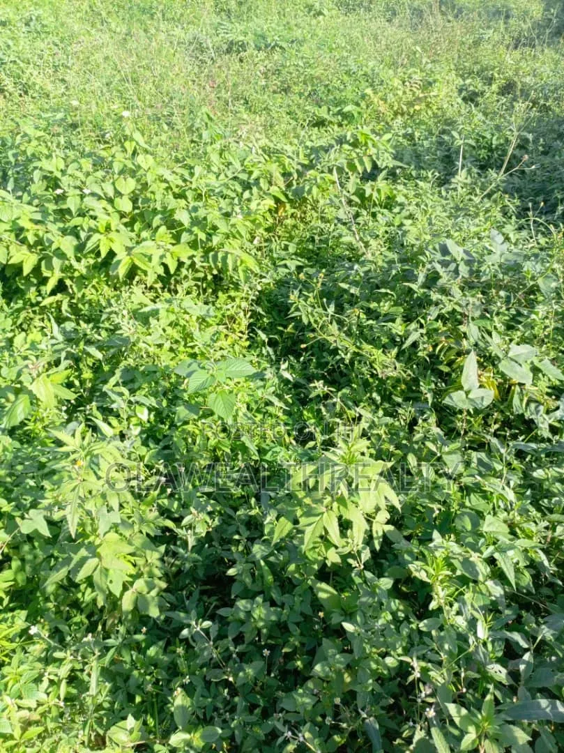 800sqm Residential Plot at Maitama Main in Maitama
