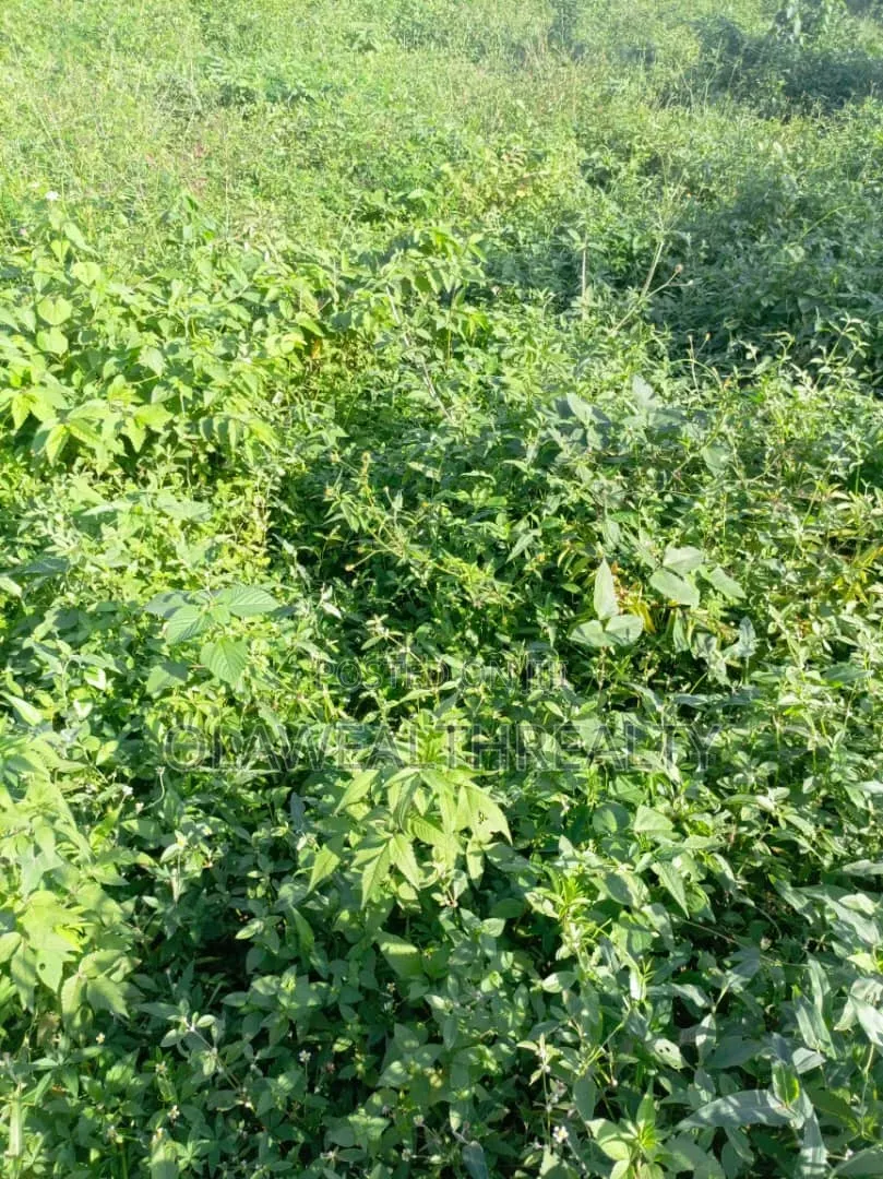 2,430sqm Residential Land at Maitama Main in Maitama