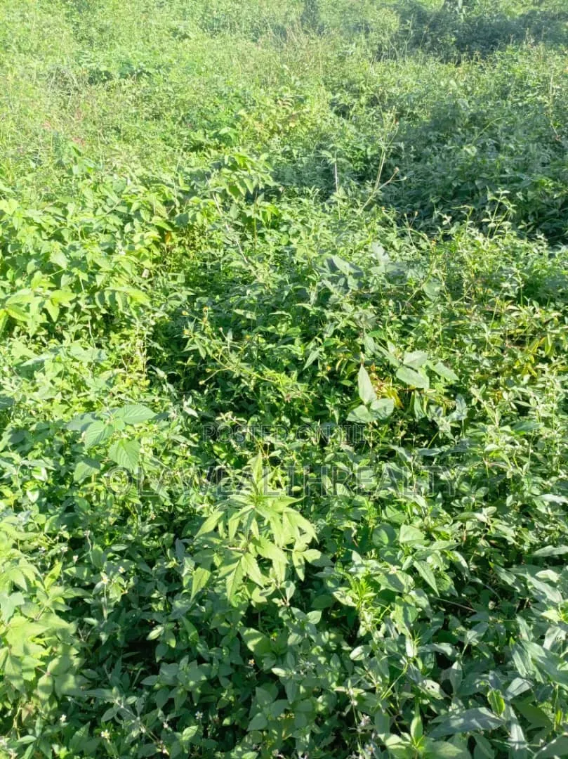 2,430sqm Residential Land at Maitama Main in Maitama
