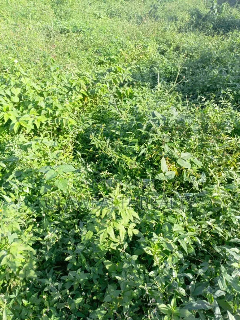 1,500sqm Residential Land at Maitama Main in Maitama