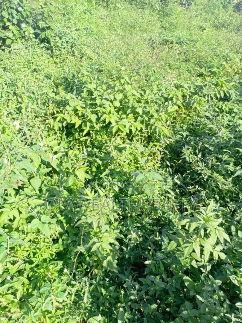 1,500sqm Residential Land at Maitama Main in Maitama