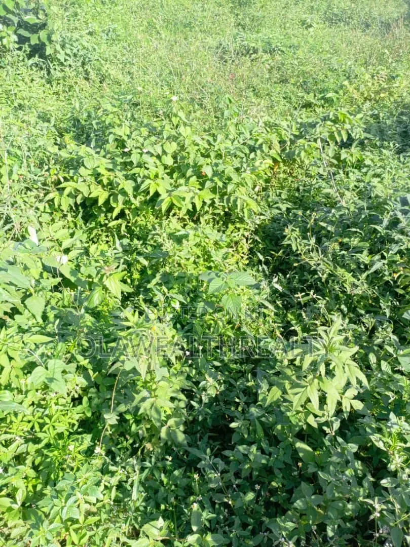 1,800sqm Residential Land at Maitama Main in Maitama