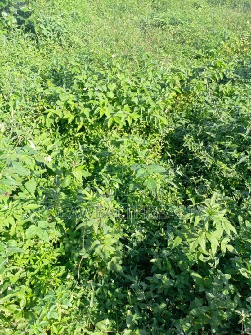1,800sqm Residential Land at Maitama Main in Maitama