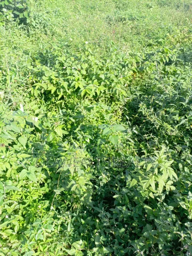 900sqm Residential Land at Maitama Main in Maitama