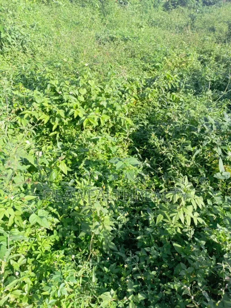 900sqm Residential Land at Maitama Main in Maitama