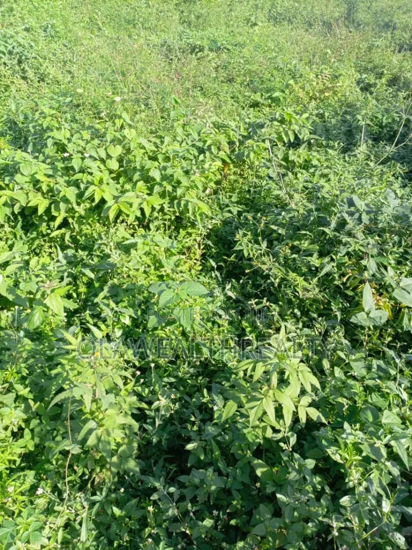 1,300sqm Residential Land at Maitama Main in Maitama