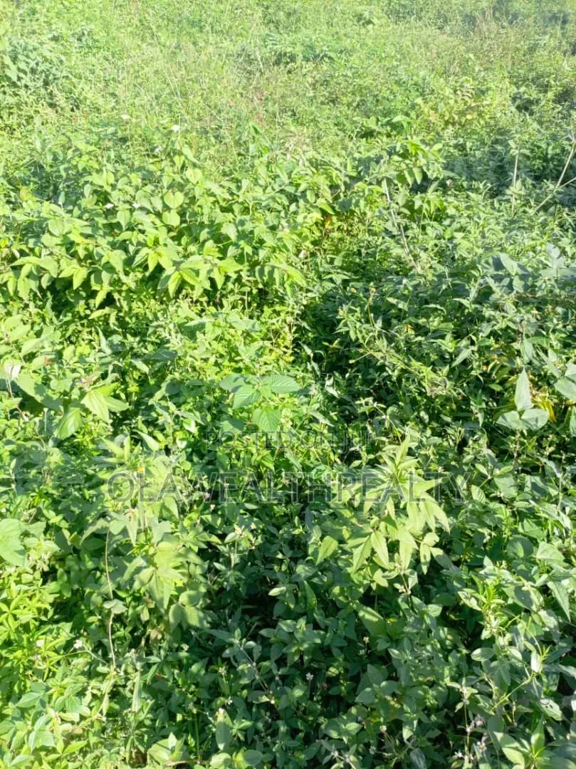 1,300sqm Residential Land at Maitama Main in Maitama
