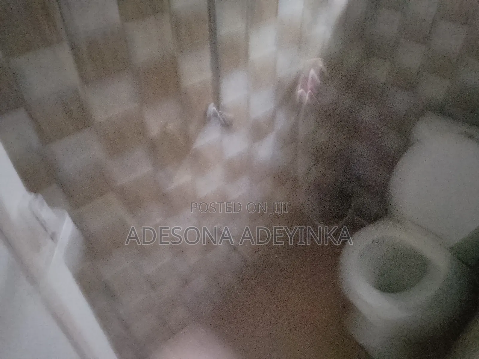 2bdrm Apartment in Iyalode Estate, Olorunda-Osun for rent in Olorunda-Osun