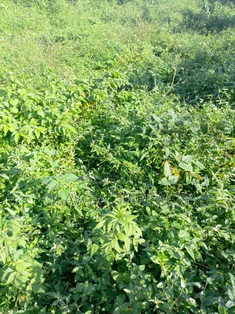 697sqm Residential Land at Katampe Main in Katampe (Main)