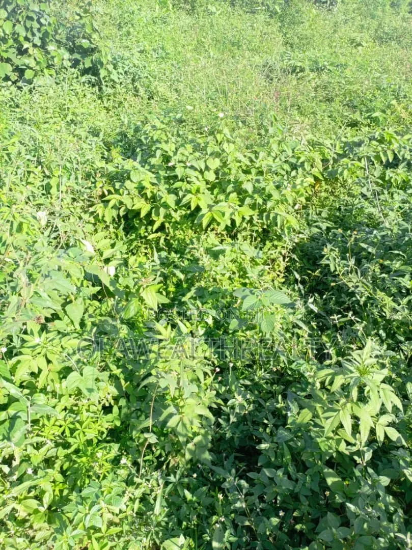697sqm Residential Land at Katampe Main in Katampe (Main)