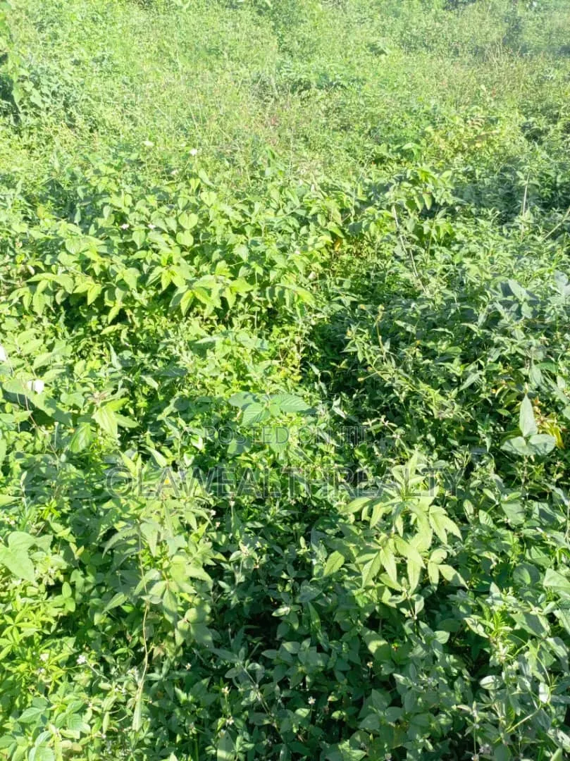 1,200sqm Residential Land at Wuye in Wuye