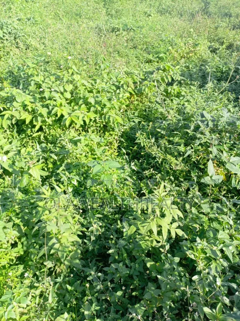 1,200sqm Residential Land at Wuye in Wuye