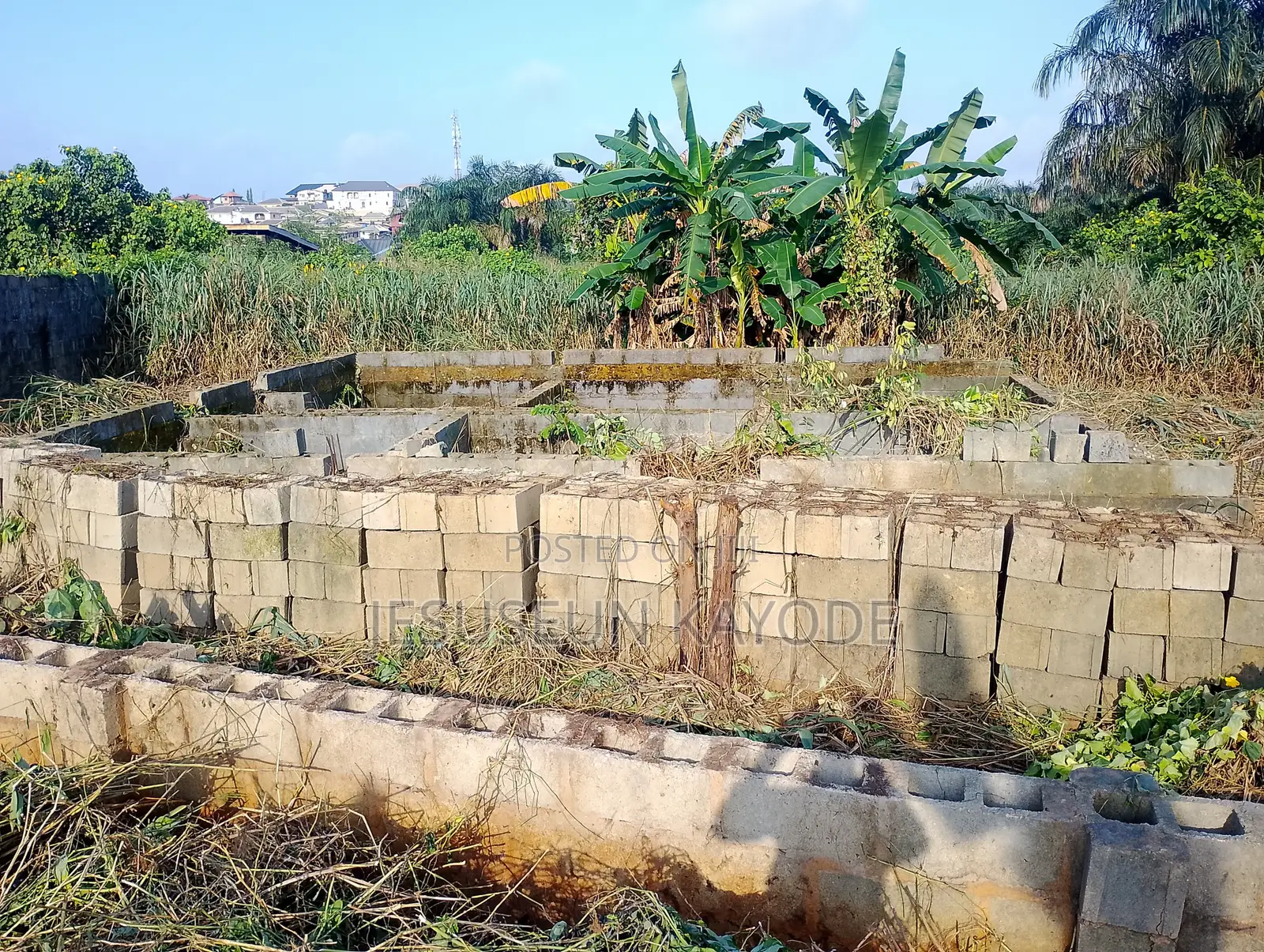Full Plot of Land With Foundation in Agric