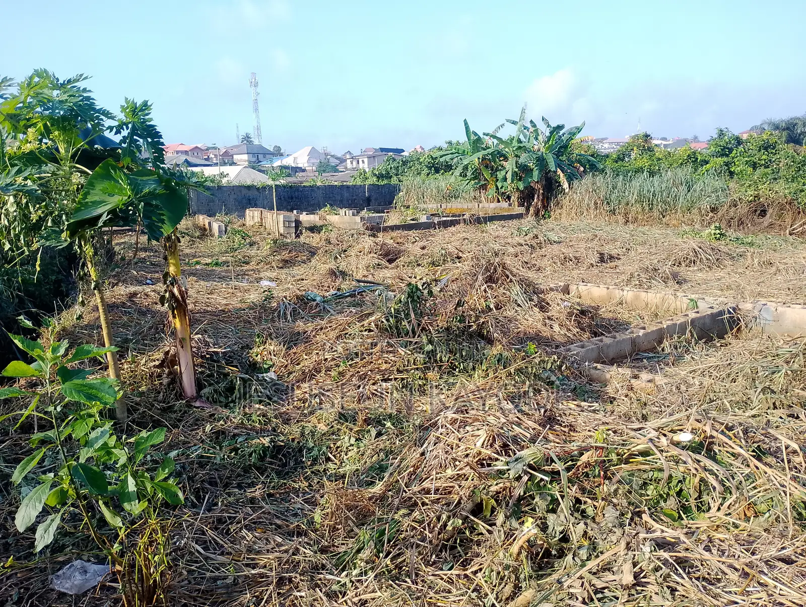 Full Plot of Land With Foundation in Agric