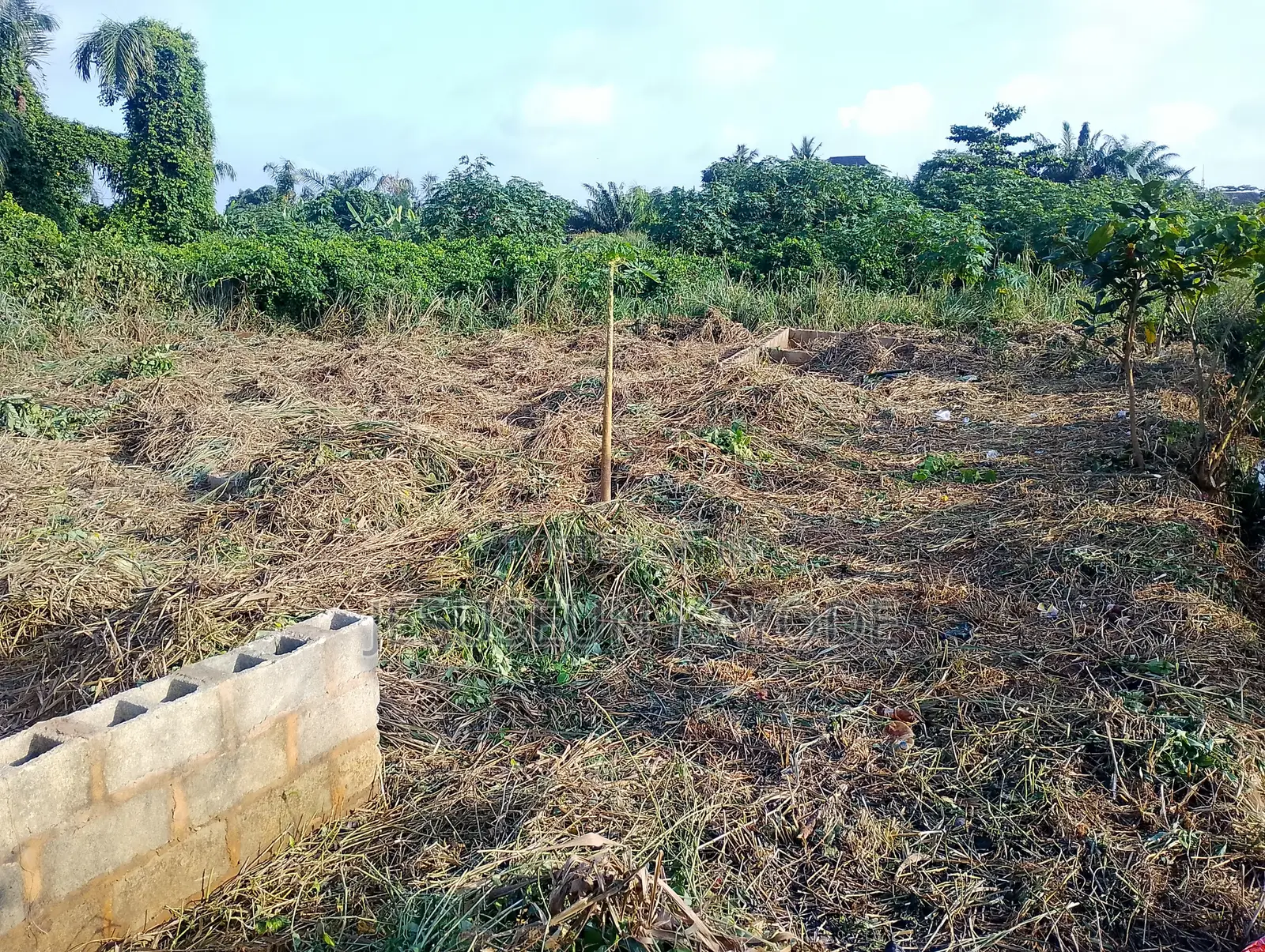 Full Plot of Land With Foundation in Agric