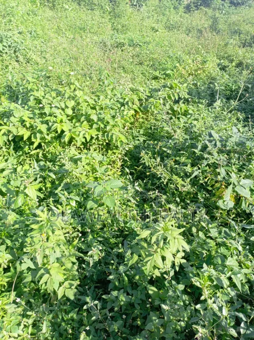 7,391sqm Prime Land at Garki 2 in Garki 2