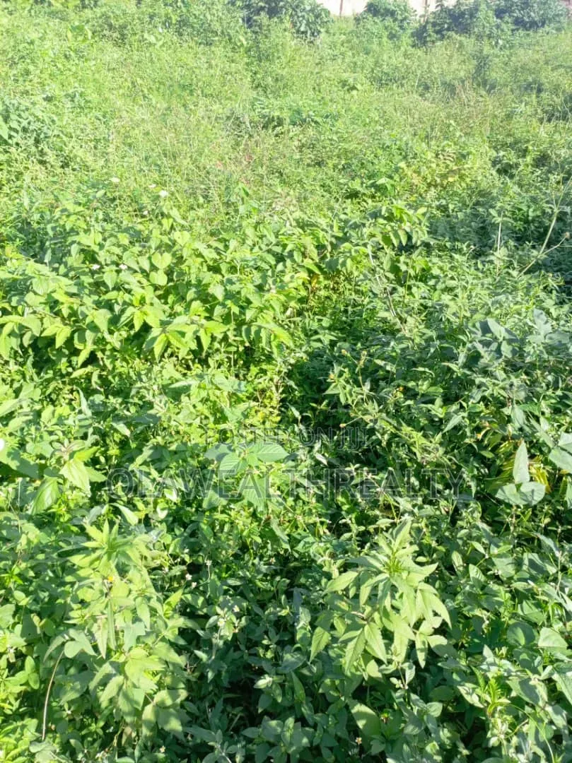 7,391sqm Prime Land at Garki 2 in Garki 2