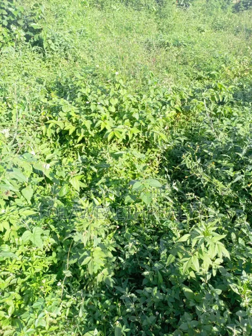 4,300sqm DISTRESS SALE Land at Guzape Bala in Guzape District