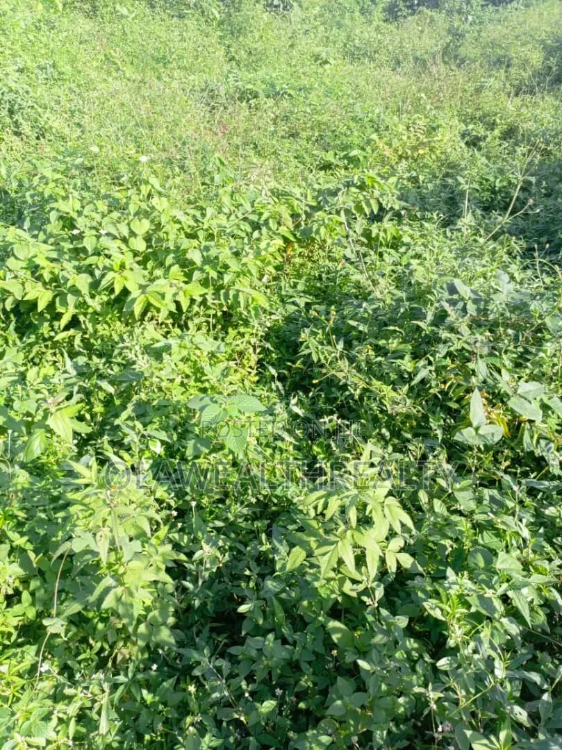 4,300sqm DISTRESS SALE Land at Guzape Bala in Guzape District