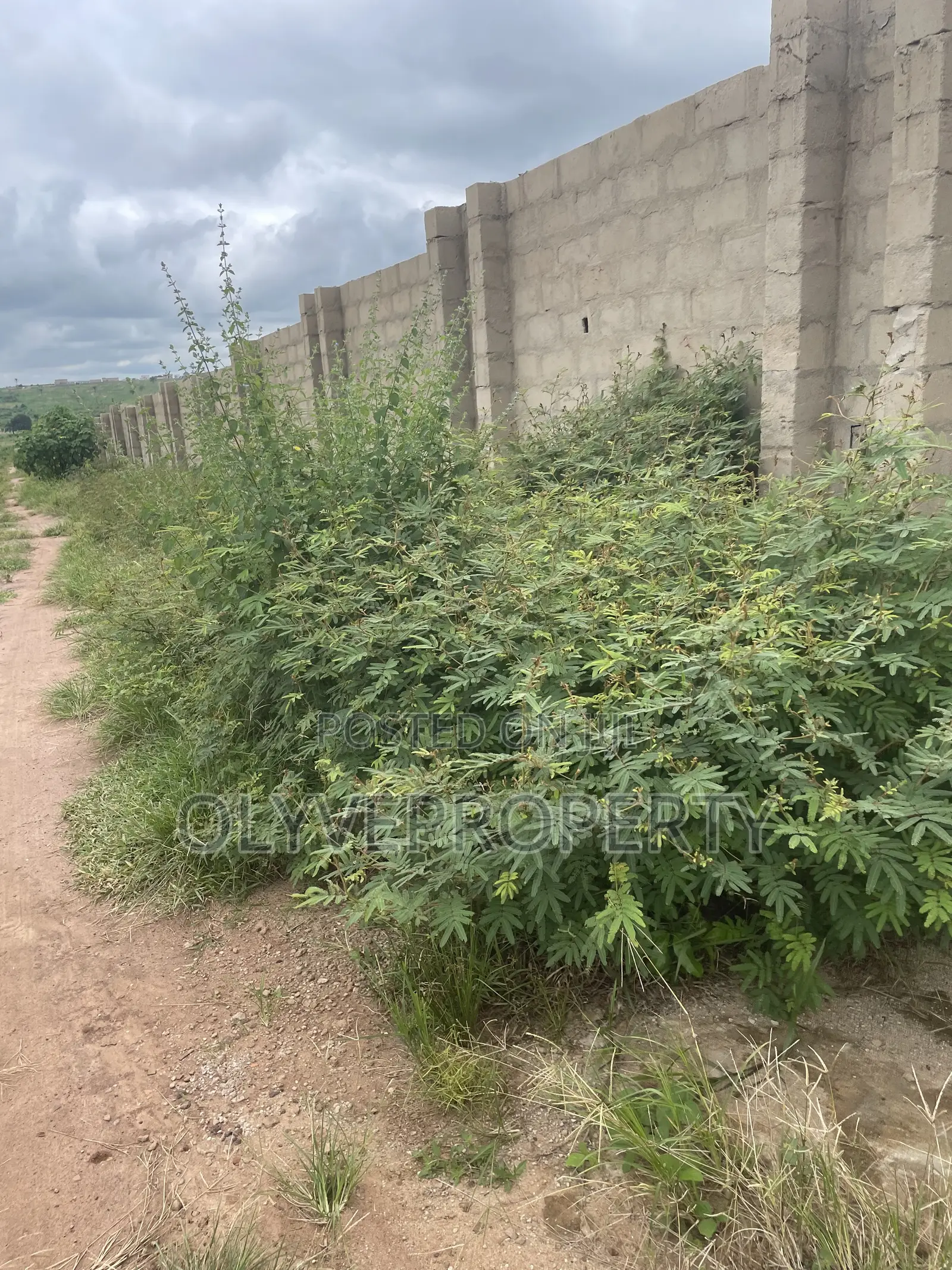 Genuine Plots of Land Available for Sale at ASABA in Oshimili North