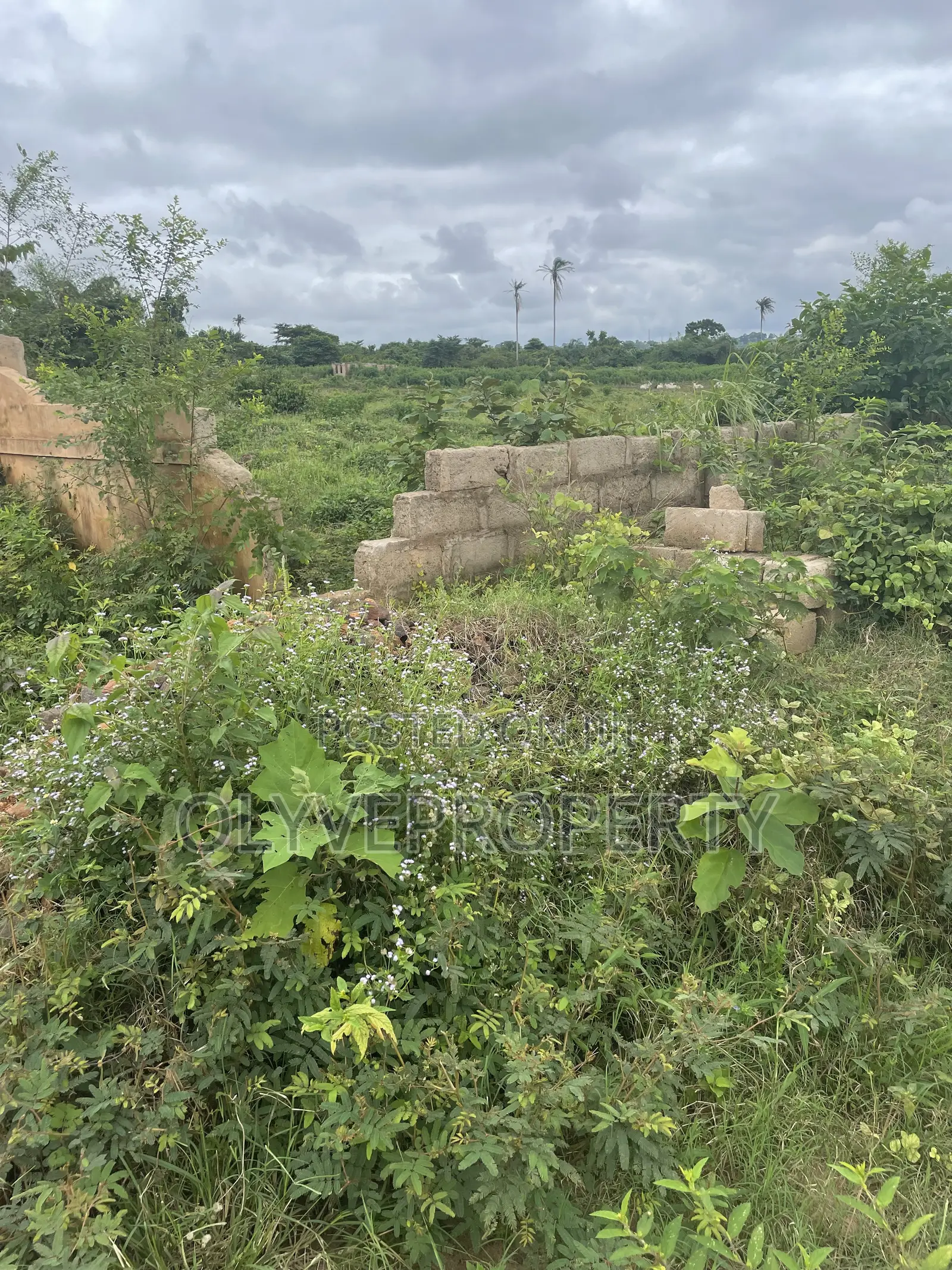 Genuine Plots of Land Available for Sale at ASABA in Oshimili North