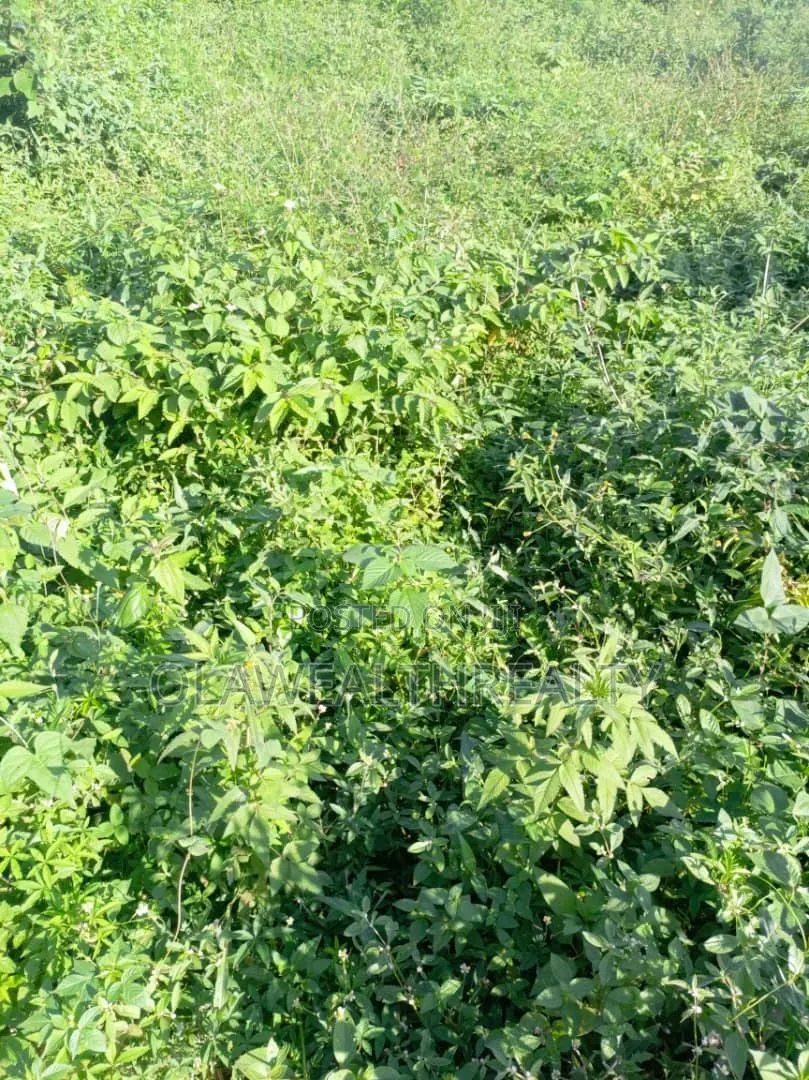 10 Hectares of Land at Guzape 2 in Guzape District