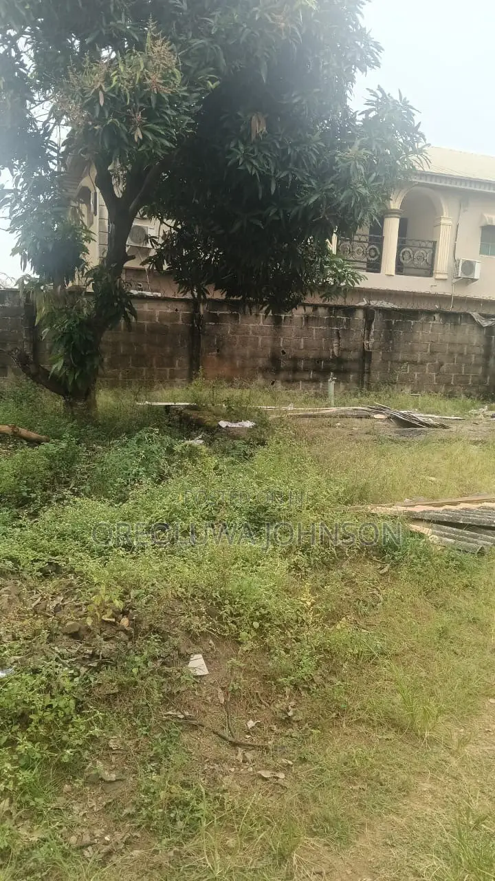 Reciept and Survey in Governors Road